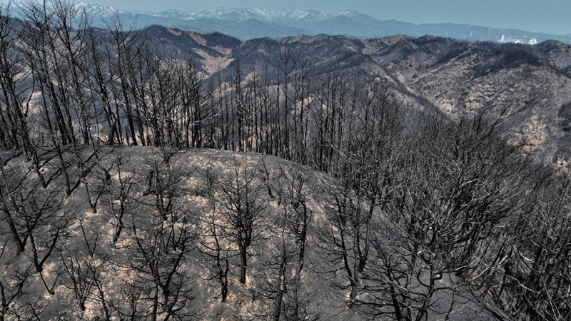 울진·삼척 산불은 기후위기 재난