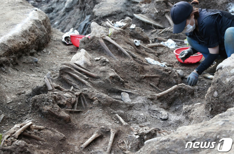 2020년 11월 대전 동구 낭월동 일원에서 한국전쟁기 민간인학살 유해발굴 공동조사단이 제9차 유해발굴을 진행하고 있는 모습.