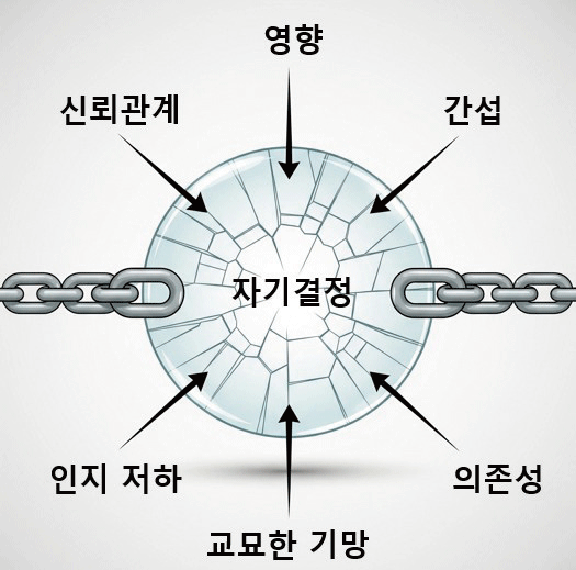 정말로 노인이 자발적으로 증여한 것일까요?