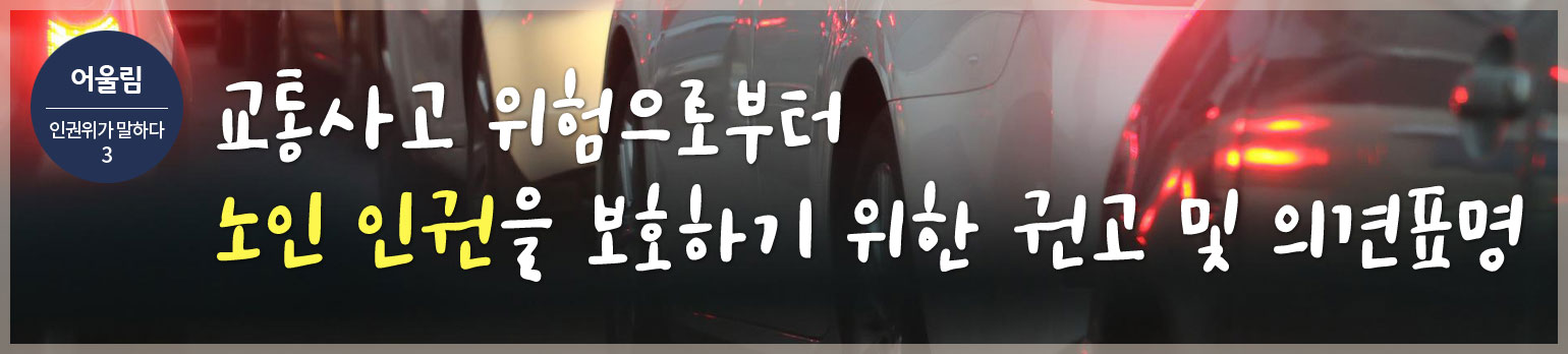 #3 교통사고 위험으로부터 노인 인권을 <br>보호하기 위한 권고 및 의견표명