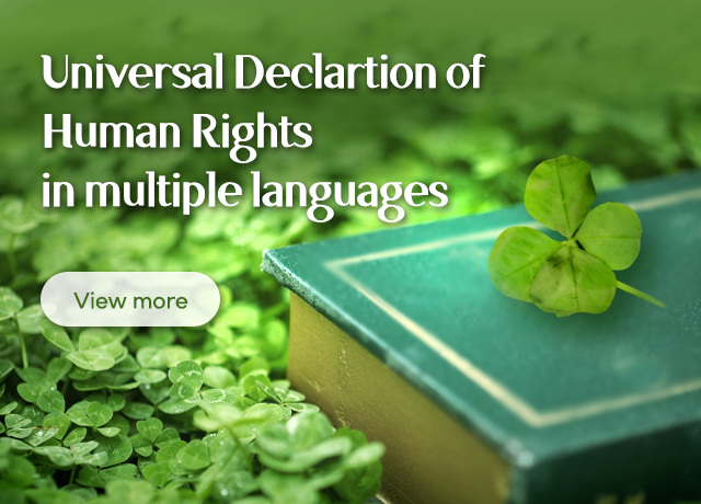 Universal Declartion of Human Rights in multiple languages